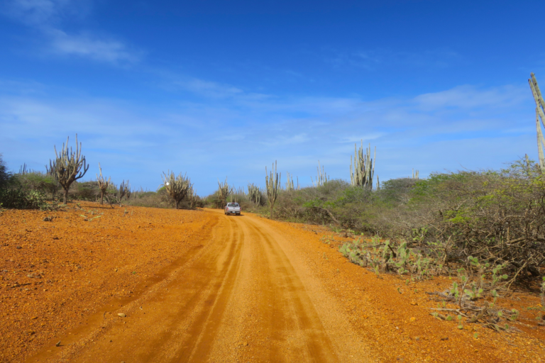 Hoogtepunten | WRC Reizen